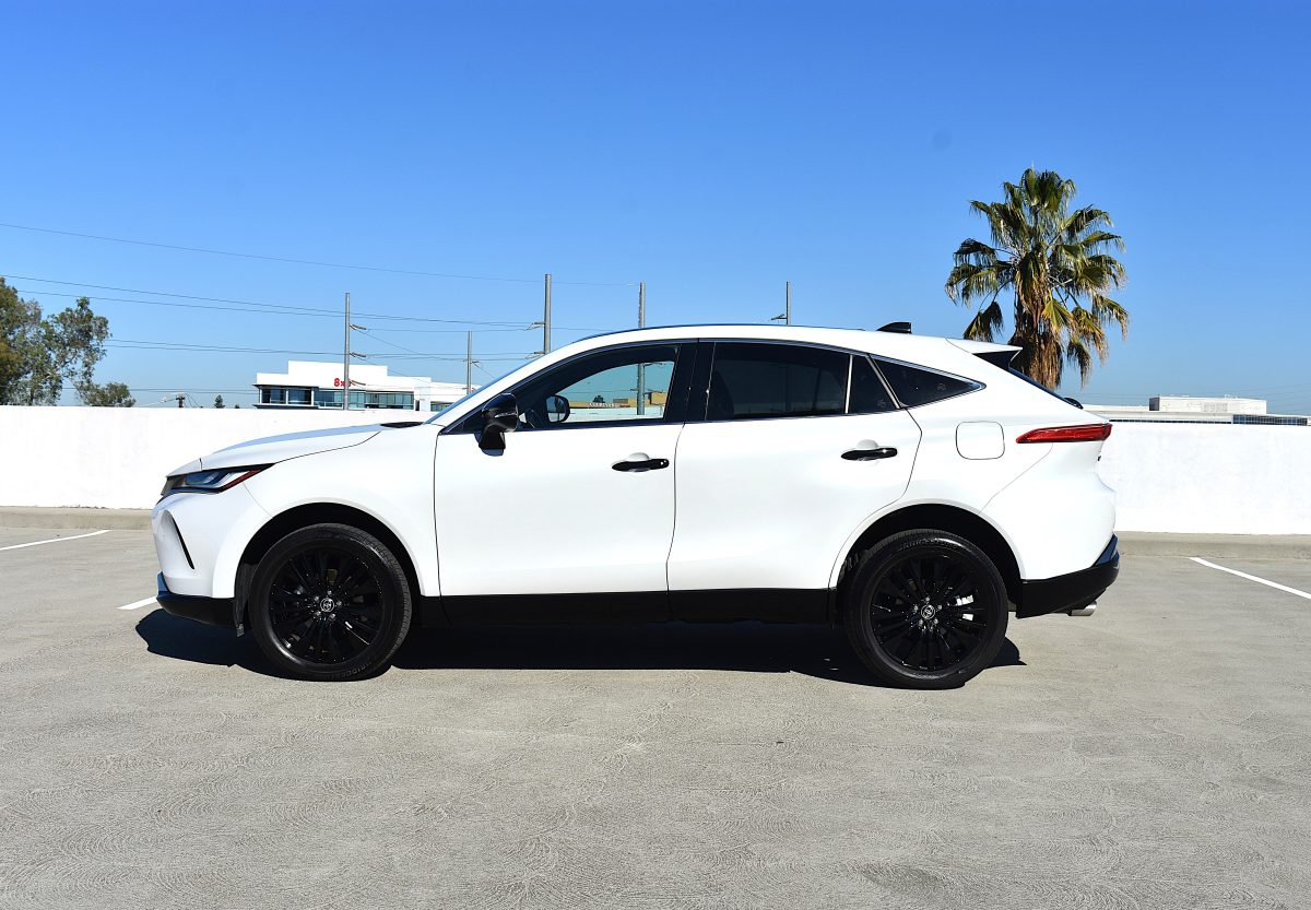 Venza XLE Nightshade