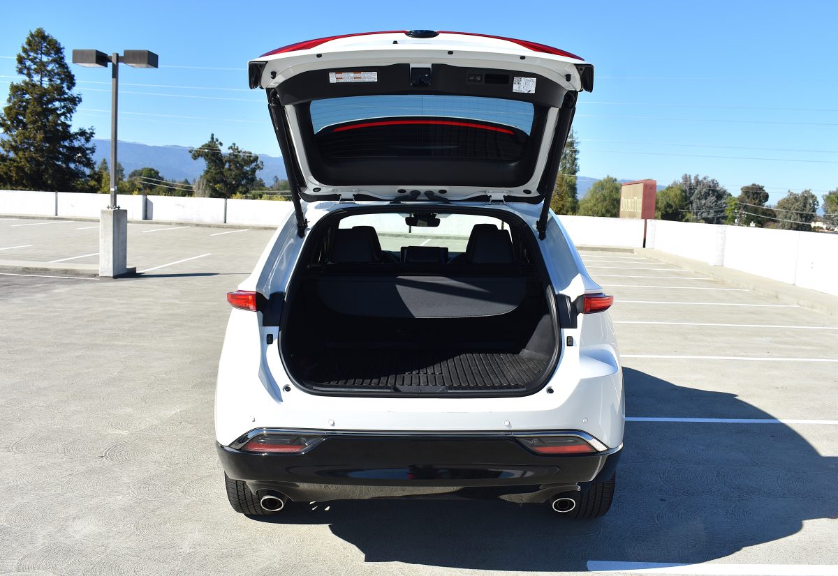 Venza XLE Nightshade